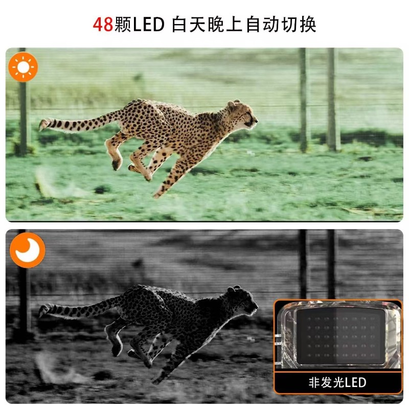 PENJUALAN PANAS DL001 Kamera B - Outdoor Hunting Video Camera ulasan dan harga