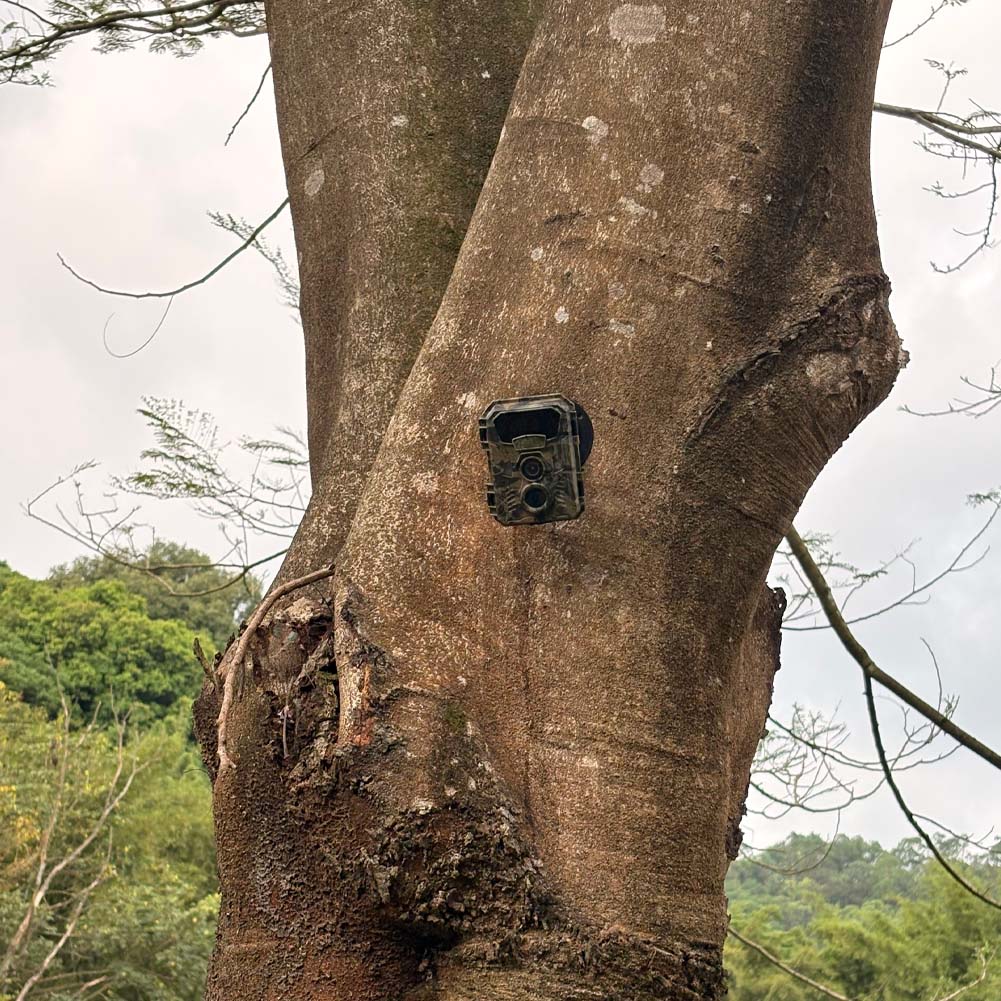 Kamera Jejak Berburu 16MP 1080 - Outdoor Hunting Video Camera ulasan dan harga
