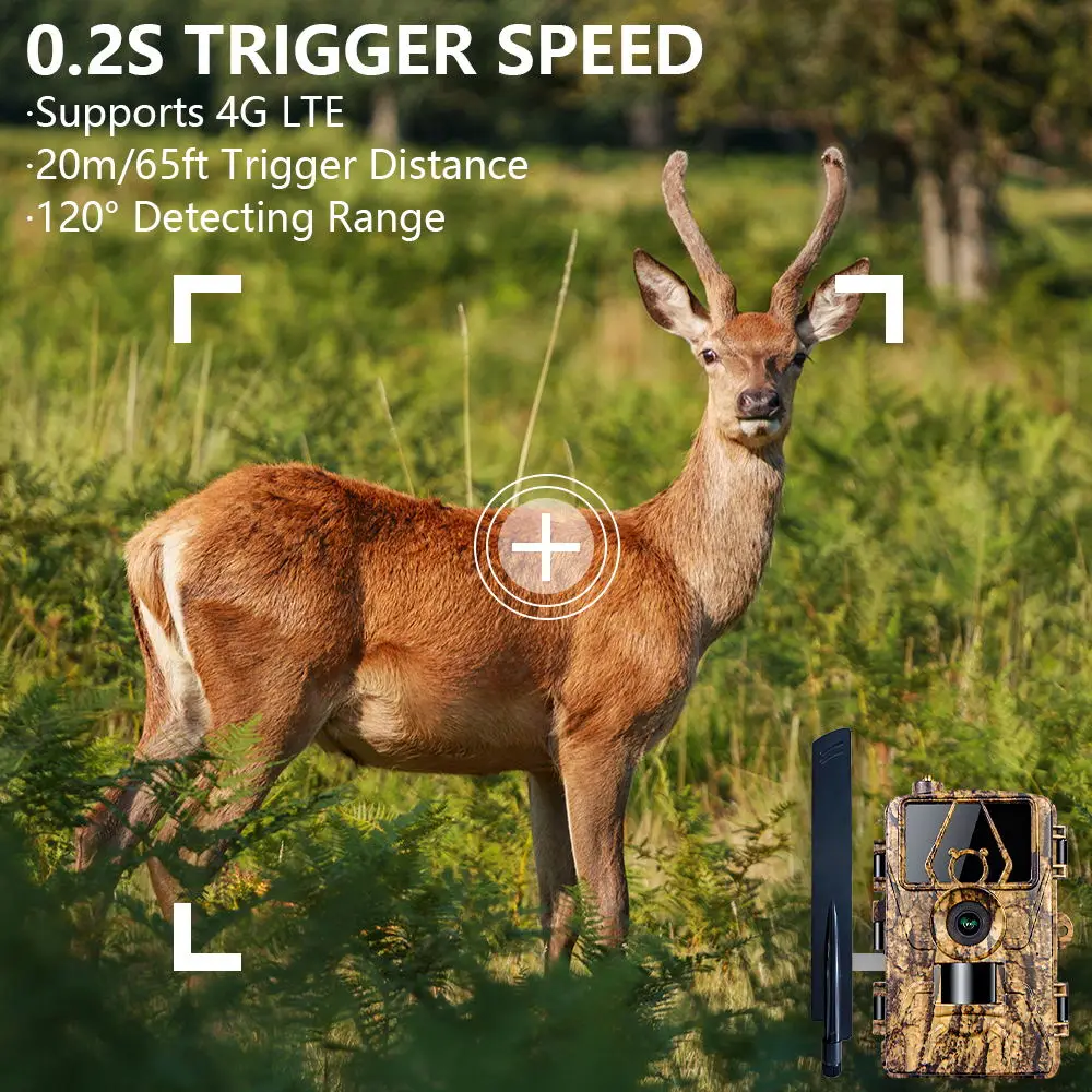 Kamera Inframerah HD8K 4G, kam - Outdoor Hunting Camera Wifi ulasan dan harga