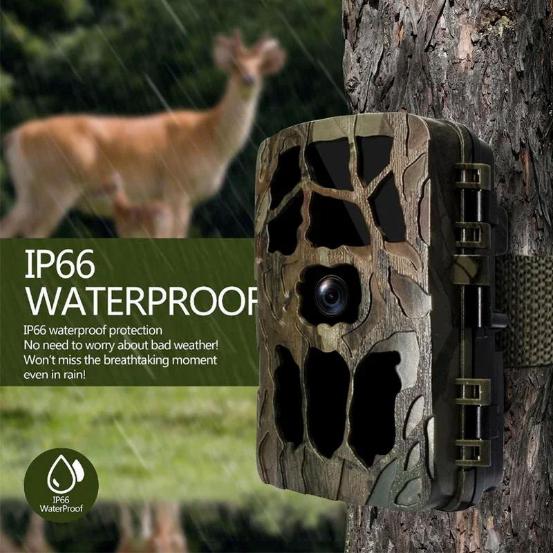 H982 IP66 Tahan Air 4K Inframe - Outdoor Hunting Video Camera ulasan dan harga